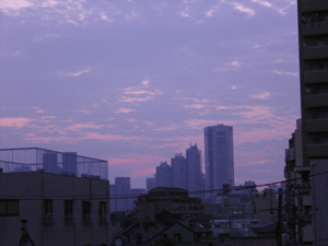 a0013134_1222.jpg
