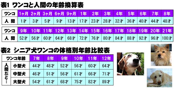 102 “ドッグ・イヤー”をご存じ？_a0013245_182818.jpg