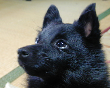 a0009750_11551.jpg