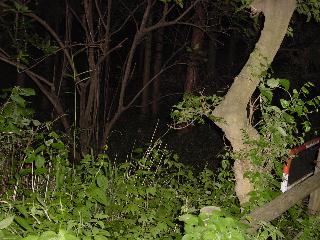 a0003150_10848.jpg