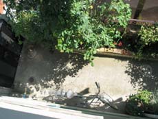 a0028350_03825.jpg