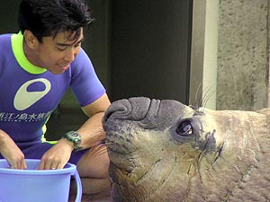 みなぞう 一獣三菜