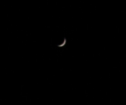 a0010194_11736.jpg