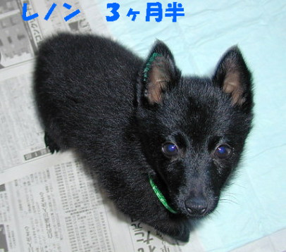 a0009750_14580.jpg