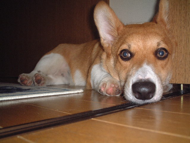 a0024004_19169.jpg