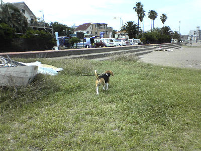 a0013905_111320.jpg