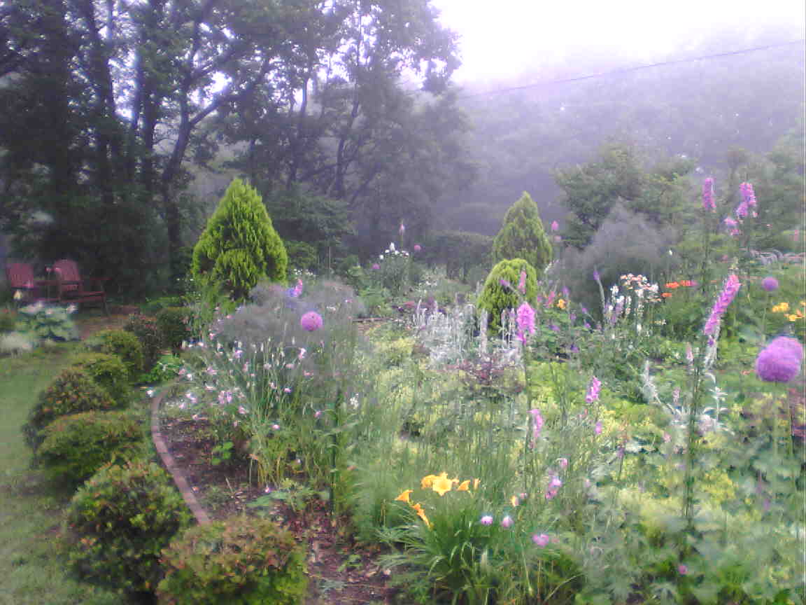 a0012728_22223.jpg