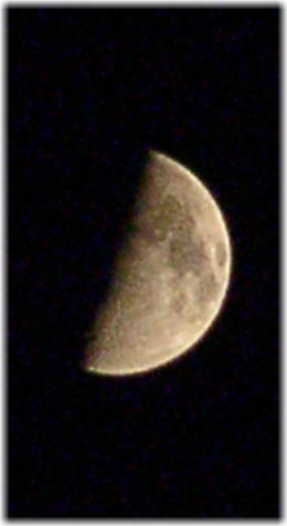 半月前のHalf Moon_a0009747_211915.jpg