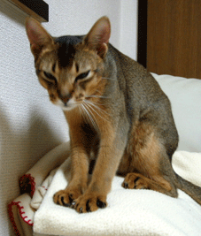 a0009397_215341.gif