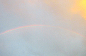 a0011909_04439.jpg
