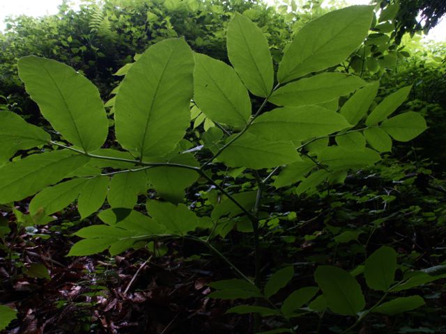 a0025569_23317.jpg