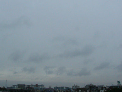 a0003238_81332.jpg