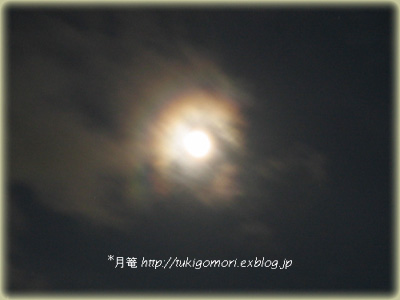 a0019967_21548.jpg
