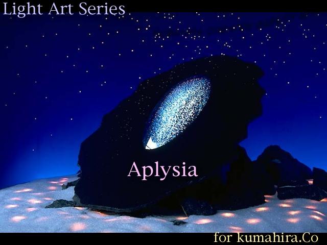 Aplysia_a0031847_191632.jpg