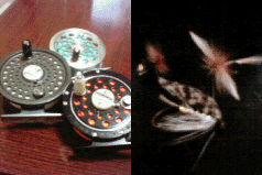 a0028803_123127.gif