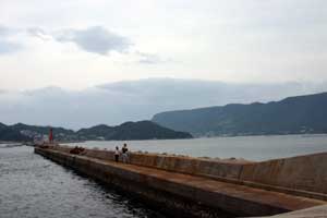 a0005727_22639.jpg