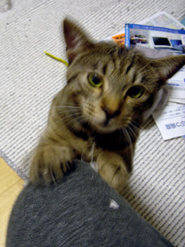 a0001964_2391.jpg