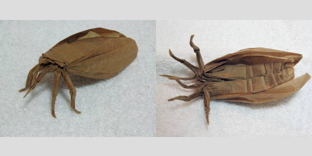 静岡のせみ Shizuoka Cicada 楽しい 折り紙の世界