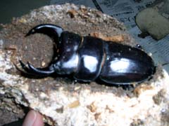 a0023152_214416.jpg