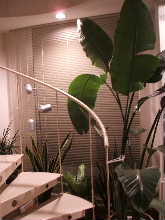 a0027014_205145.jpg