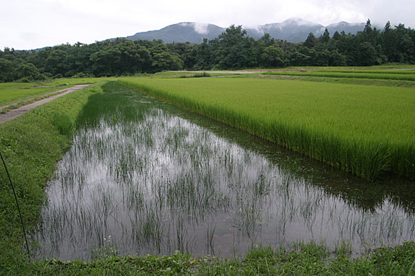 a0034005_23459.jpg