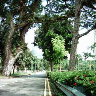 a0002177_14933.jpg