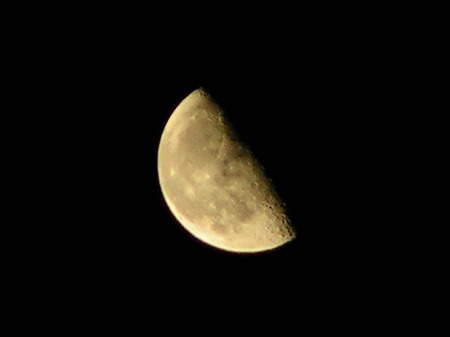 a0027677_22918.jpg