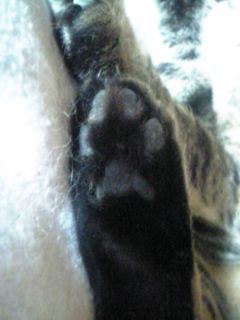 a0027720_124316.jpg