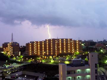 a0007966_21462.jpg