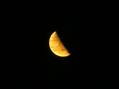 Half Moon　「傷跡」_a0002073_34959.jpg