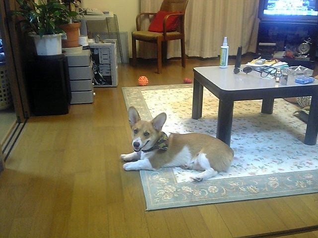 a0024004_215214.jpg