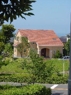 a0003150_8162.jpg