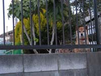 小学校。。_a0028350_13458.jpg