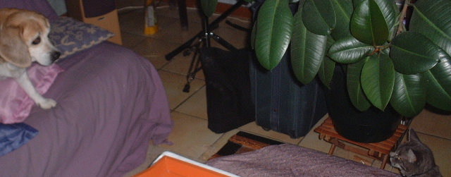 Fanette VS Vodka_a0008105_73138.jpg