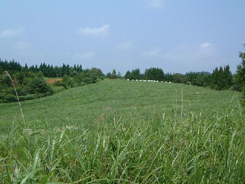 a0035113_34848.jpg
