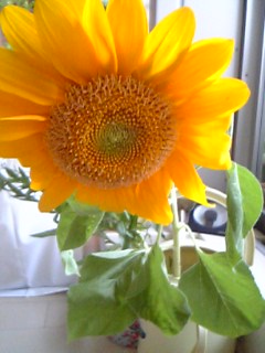 a0027720_221853.jpg