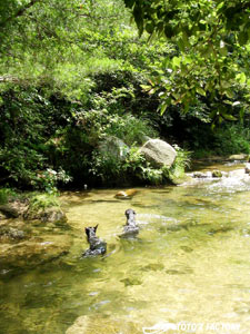 a0034287_0340.jpg