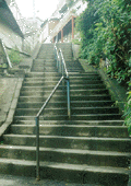 a0032331_1213.gif