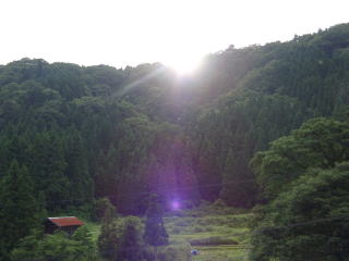 a0009747_0391.jpg