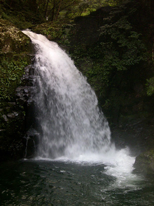 a0025532_17578.jpg