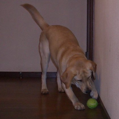 a0004044_01339.jpg