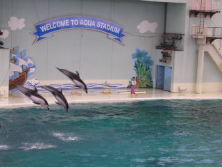 a0010784_066.jpg