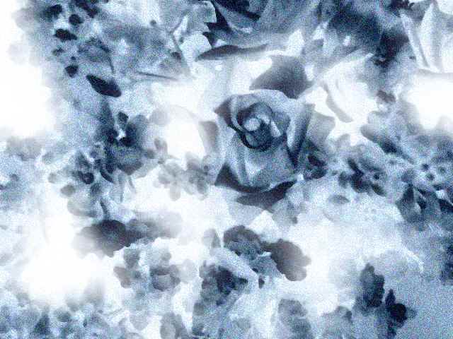 a0021871_15616.jpg