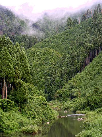 私の中の原風景　―京都・美山町―_a0027844_1323321.jpg