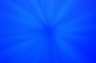 a0018745_2220981.jpg