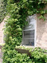 a0034225_83547.jpg