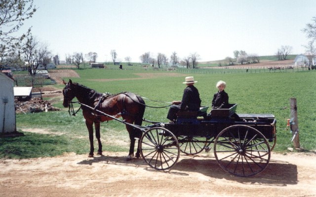 アーミッシュ的生活 : NYC在住学生ブログ