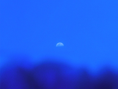 Today\'s Moon 「海水浴」_a0002073_2058360.jpg