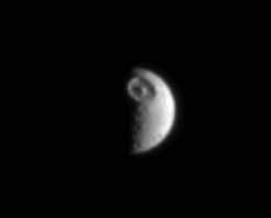 a0030248_7542773.gif