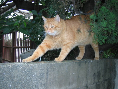 a0013751_09980.jpg